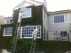 affinity painting house painting